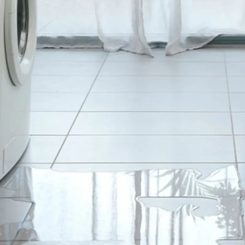 Appliance Leak Cleanup in West Paris, ME