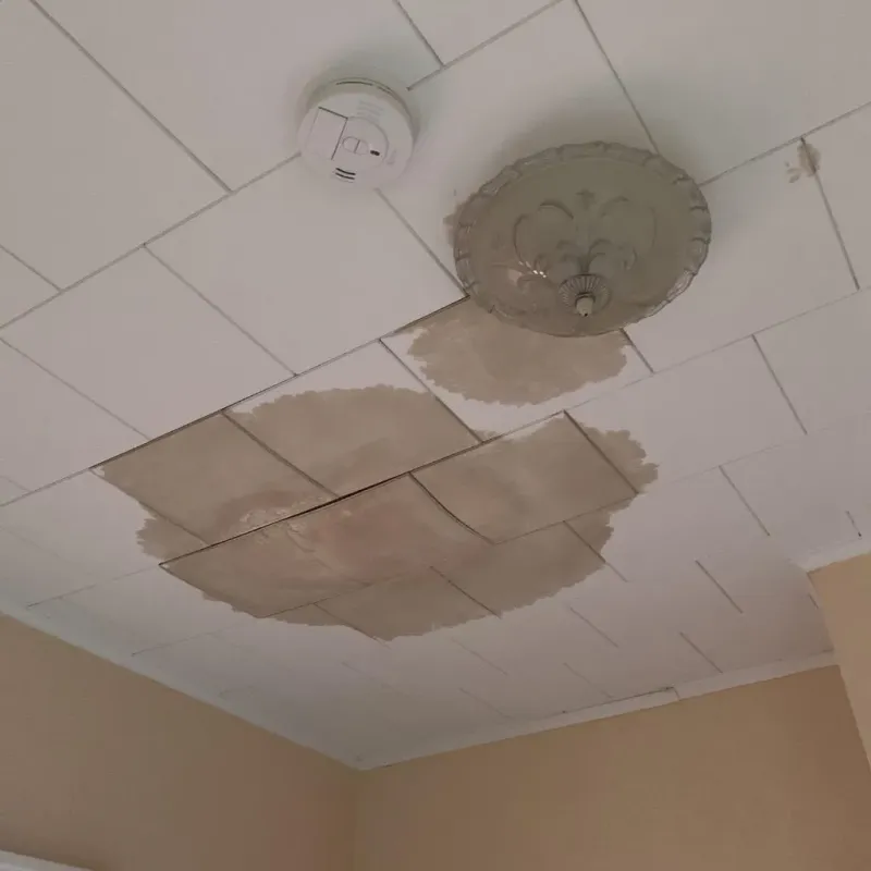 Ceiling Water Damage Repair in West Paris, ME
