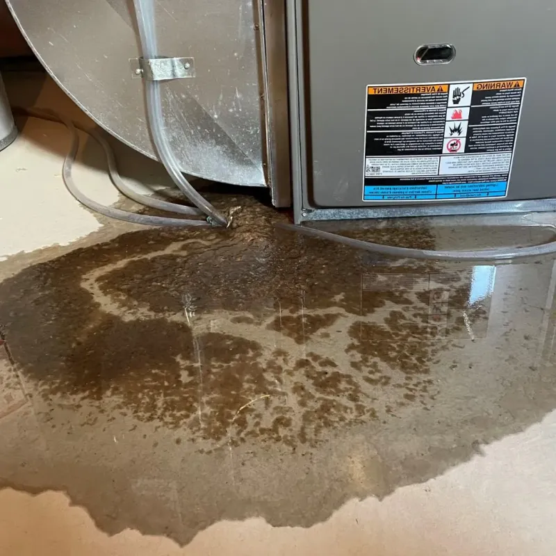 Pipe Burst and Leak Restoration in West Paris, ME