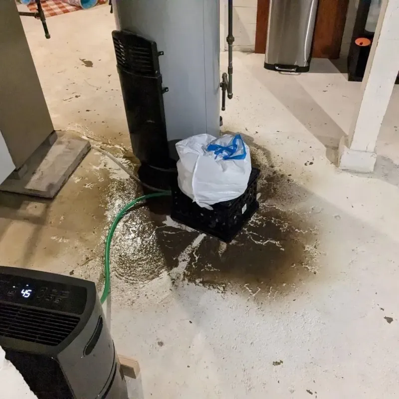 Sewage Backup Cleanup Service in West Paris, ME